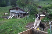 04 Potessi venire con voi!
